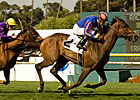 Turning Top Spins Away in Beverly Hills Turning Top Spins Away in Beverly Hills