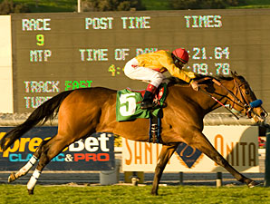 Favored Tuscan Evening Takes Buena Vista Favored Tuscan Evening Takes Buena Vista