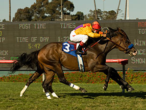 Tuscan Evening Keeps Winning in Royal Heroine Tuscan Evening Keeps Winning in Royal Heroine