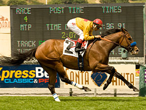Tuscan Evening Has Her Way in Santa Barbara Tuscan Evening Has Her Way in Santa Barbara