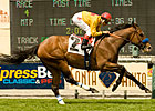 Tuscan Evening Has Her Way in Santa Barbara