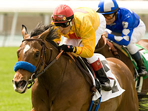 Tuscan Evening Seeks First Grade I in Gamely Tuscan Evening Seeks First Grade I in Gamely