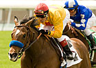 Tuscan Evening Seeks First Grade I in Gamely