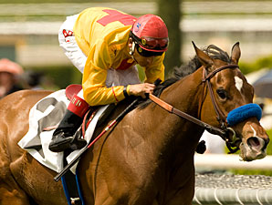 Modesty, Arlington 'Caps Draw Grade I Talent Modesty, Arlington 'Caps Draw Grade I Talent