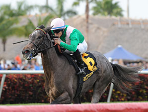 Tuttipaesi Aims For Second U.S. Stakes Win Tuttipaesi Aims For Second U.S. Stakes Win