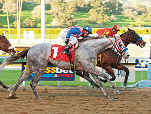 Baffert Trainee Tweebster Euthanized Baffert Trainee Tweebster Euthanized