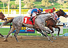 Baffert Trainee Tweebster Euthanized