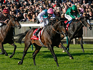 Twice Over Repeats in Champion Stakes Twice Over Repeats in Champion Stakes