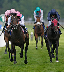 Twice Over Shines in Coral-Eclipse Twice Over Shines in Coral-Eclipse