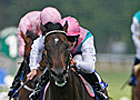 Twice Over Shines in Coral-Eclipse