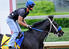 Borel to Ride Twice the Appeal in Derby