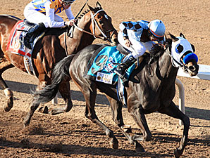Twice the Appeal, 25-1, Stuns Sunland Derby Twice the Appeal, 25-1, Stuns Sunland Derby