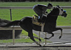 Twice the Appeal Works Under Borel