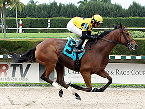 Twilight Eclipse Returns to Gulfstream Twilight Eclipse Returns to Gulfstream