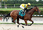 Twilight Eclipse Returns to Gulfstream Twilight Eclipse Returns to Gulfstream