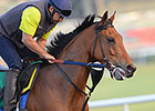 American Runners Set for World Cup Night American Runners Set for World Cup Night