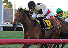 Twilight Eclipse Targets Belmont Gold Cup Twilight Eclipse Targets Belmont Gold Cup