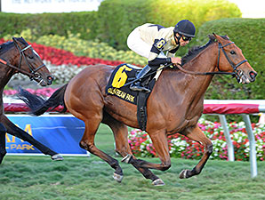 Twilight Eclipse Proves Best in Mac Diarmida Twilight Eclipse Proves Best in Mac Diarmida