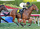 Twilight Eclipse Proves Best in Mac Diarmida Twilight Eclipse Proves Best in Mac Diarmida