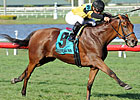 Racing Voices: Across The World With Twilight Racing Voices: Across The World With Twilight