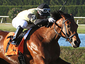 Twilight Eclipse Seeks Second McKnight Win Twilight Eclipse Seeks Second McKnight Win