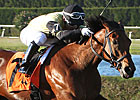 Twilight Eclipse Seeks Second McKnight Win Twilight Eclipse Seeks Second McKnight Win