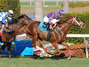 Twilight Meteor, Nicanor Vie in Canadian Turf Twilight Meteor, Nicanor Vie in Canadian Turf