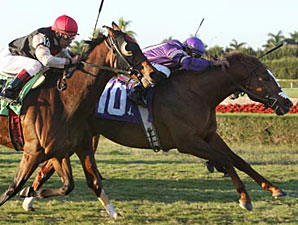 Twilight Meteor Pulls Tropical Turf Upset Twilight Meteor Pulls Tropical Turf Upset