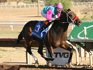 World Mark for 6 Panels Set at Turf Paradise World Mark for 6 Panels Set at Turf Paradise