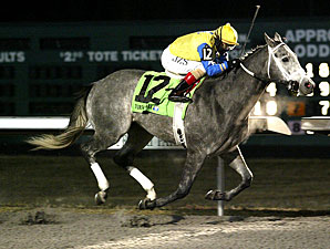 WEBN Win Moves Twinspired Along Derby Path WEBN Win Moves Twinspired Along Derby Path