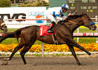 Twirling Candy Dazzles in Californian