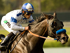 'Candy Leaves Trouble Behind in Del Mar Derby 'Candy Leaves Trouble Behind in Del Mar Derby