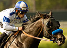 'Candy Leaves Trouble Behind in Del Mar Derby 'Candy Leaves Trouble Behind in Del Mar Derby