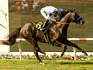 Countdown to the Cup: Twirling Dervish Countdown to the Cup: Twirling Dervish