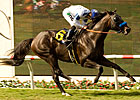 Countdown to the Cup: Twirling Dervish
