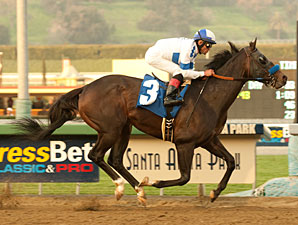 Twirling Candy Stomps Strub Rivals Twirling Candy Stomps Strub Rivals