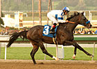 Twirling Candy Favored in Pacific Classic