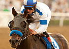 Featured Horse Profile: Twirling Candy Featured Horse Profile: Twirling Candy