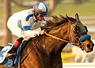 Twirling Candy Draws Top Weight for Gold Cup Twirling Candy Draws Top Weight for Gold Cup