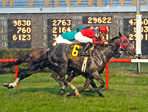 Two Months Rent Grabs Wet Hawthorne Derby Two Months Rent Grabs Wet Hawthorne Derby