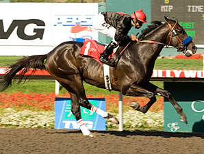Two Step Salsa Skips Away in Affirmed Two Step Salsa Skips Away in Affirmed
