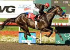 Two Step Salsa Skips Away in Affirmed Two Step Salsa Skips Away in Affirmed