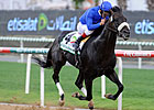 'Salsa' Spicy in Godolphin Mile Victory 'Salsa' Spicy in Godolphin Mile Victory