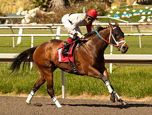 Tyler Baze Wins in Return at Hollywood Park Tyler Baze Wins in Return at Hollywood Park