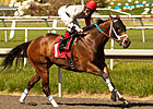 Tyler Baze Wins in Return at Hollywood Park Tyler Baze Wins in Return at Hollywood Park
