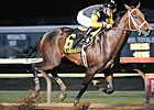 Uh Oh Bango Named Iowa Horse of the Year Uh Oh Bango Named Iowa Horse of the Year