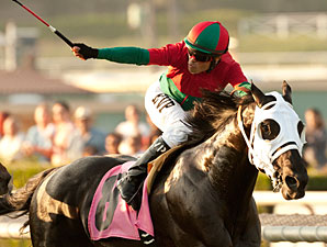 34-1 Ultimate Eagle Aces Oak Tree Derby 34-1 Ultimate Eagle Aces Oak Tree Derby