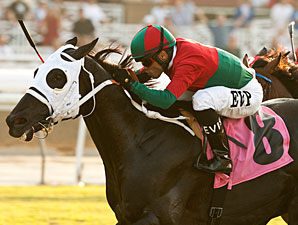 GI Winner Ultimate Eagle Retired to Stud GI Winner Ultimate Eagle Retired to Stud