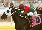 GI Winner Ultimate Eagle Retired to Stud GI Winner Ultimate Eagle Retired to Stud