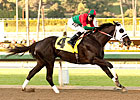 Big 'Cap Draws 13; Ultimate Eagle Favored